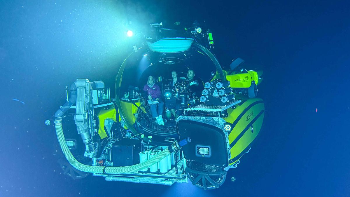 BRIN dan OceanX Temukan 14 Jenis Megafauna Laut Sulawesi