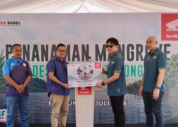 Lestarikan Pesisir Belitung dengan Penanaman 500 Pohon Mangrove