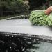 Enam Rahasia Sederhana Agar Mobil Putih Tetap Kinclong dan Elegan