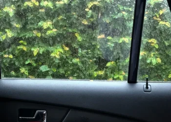 Bahaya Kebiasaan Menutup Pintu Mobil dengan Keras