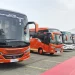 Area Karoseri Bus GIIAS 2026 Menjadi Pilihan Utama bagi Para Penggemar Bus